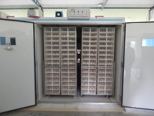10000 Eggs Incubator