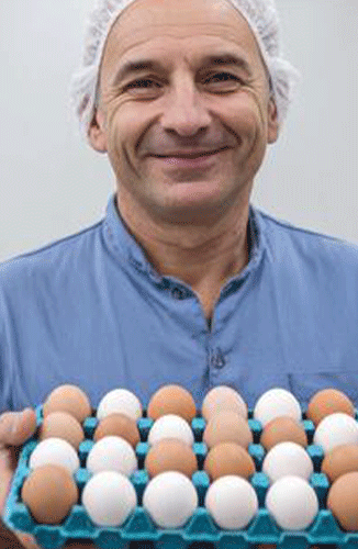 Egg Incubator Model 1